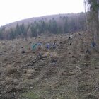 20112308130806-492.jpg